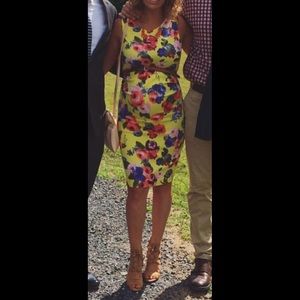 Pinkblush Maternity Dress